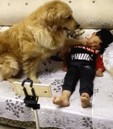 Анимированное фото