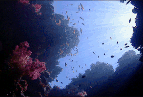 MERMAID | ❝ She is water, powerful enough to drown you, soft enough t… #fanfic # Fanfic # amreading # books # wattpad