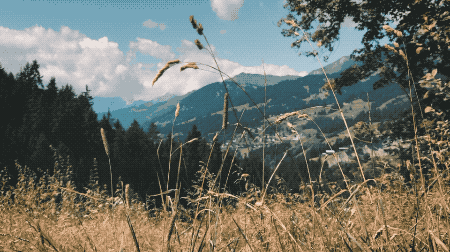 Ve akıp gider hayat, yosun tutmuş yürekler arasından sessizce.. İbrahim İnecik