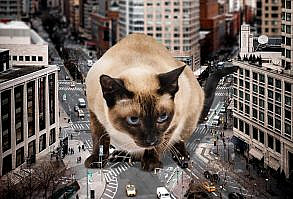 Artist Shows What It Would Be Like If The World Were Inhabited By Giant Cats (92 New Pics)