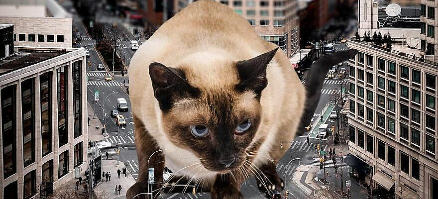 Artist Shows What It Would Be Like If The World Were Inhabited By Giant Cats (92 New Pics)