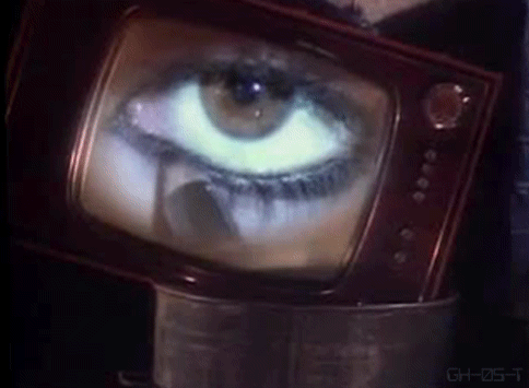 sloth unleashed : Photo