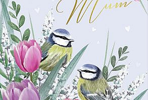 Di Brookes | Advocate Art