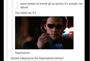 They have a GIF for crap puns: | Definitive Proof That The