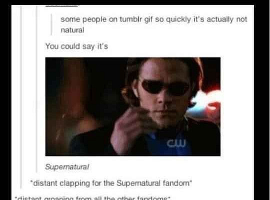 They have a GIF for crap puns: | Definitive Proof That The