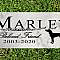 This Hungarian Vizsla Marble Memorial Stone comes personalized with your pet's name in just two days. This elegant Broad Bay Hungarian Vizsla memorial stone is truly the best way to remember a faithful and loving canine companion. The solid marble stone is excellent for indoors as a pet memorial or outdoors as a grave marker. This Hungarian Vizsla Memorial Stone is made out of solid marble and weighs roughly 2.5 lbs and is 12in x 6in and 3/8in in thickness. This memorial stone is the perfect gift for a Vizsla owner during their time of mourning
