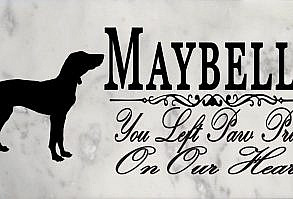 This Hungarian Vizsla Marble Memorial Stone comes personalized with your pet's name in just two days. This elegant Broad Bay Hungarian Vizsla memorial stone is truly the best way to remember a faithful and loving canine companion. The solid marble stone is excellent for indoors as a pet memorial or outdoors as a grave marker. This Hungarian Vizsla Memorial Stone is made out of solid marble and weighs roughly 2.5 lbs and is 12in x 6in and 3/8in in thickness. This memorial stone is the perfect gift for a Vizsla owner during their time of mourning