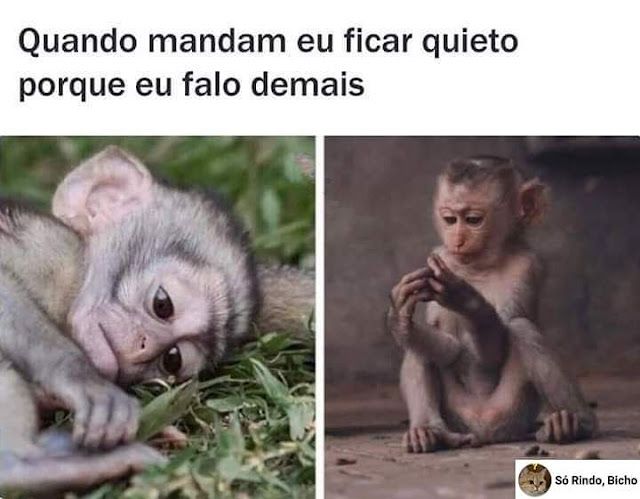 Memes engraçados