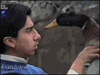 21 Best GIFs Of All Time Of The Week #125 - Funny Or Die