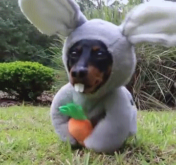 Other Funny Gifs gif-tv.tumblr.com/ And Funny Youtube Video - www.youtube.com/...