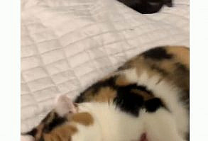 Hello and welcome to Cute Aggression Anonymous! - 🎥: instagram.com/...