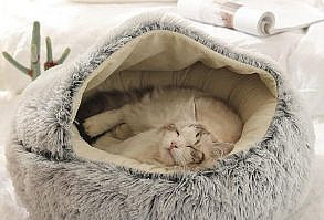 Fulfilled by our friends at Estilo LivingThe ultimate plush and calming cat bed, the Round Plush Calming Cat Cave. Our pet bed will give your cat the comfort and style they deserve. The Cat Bed is not only super stylish, but light-weight and portable, making it ideal for taking with you and your pet on holidays, and travelling. Made from high quality Plush fabric for extreme comfort and easy cleaning, this is the perfect resting place for your cat. The design of the bed is a half surrounded structure, convenient for pets to enter and exit. It i