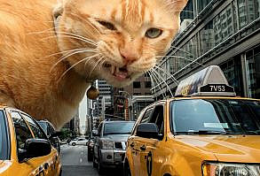 Artist Shows What It Would Be Like If The World Were Inhabited By Giant Cats (92 New Pics)