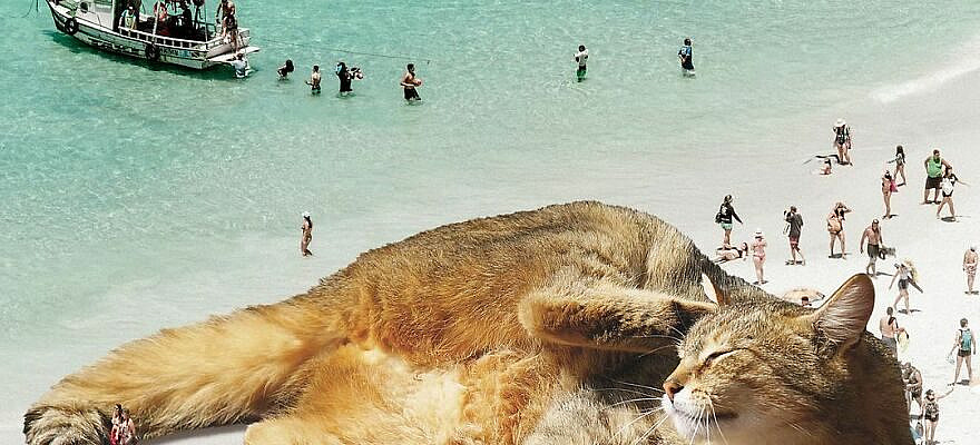 Artist Shows What It Would Be Like If The World Were Inhabited By Giant Cats (92 New Pics)