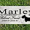 This Scottish Terrier Marble Memorial Stone comes personalized with your pet's name in just two days. This elegant Broad Bay Scottish Terrier memorial stone is truly the best way to remember a faithful and loving canine companion. The solid marble stone is excellent for indoors as a pet memorial or outdoors as a grave marker. This Scottish Terrier Memorial Stone is made out of solid marble and weighs roughly 2.5 lbs and is 12in x 6in and 3/8in in thickness. This memorial stone is the perfect gift for a Scottish Terrier owner during their time o