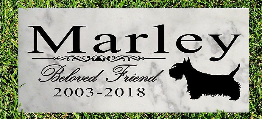 This Scottish Terrier Marble Memorial Stone comes personalized with your pet's name in just two days. This elegant Broad Bay Scottish Terrier memorial stone is truly the best way to remember a faithful and loving canine companion. The solid marble stone is excellent for indoors as a pet memorial or outdoors as a grave marker. This Scottish Terrier Memorial Stone is made out of solid marble and weighs roughly 2.5 lbs and is 12in x 6in and 3/8in in thickness. This memorial stone is the perfect gift for a Scottish Terrier owner during their time o