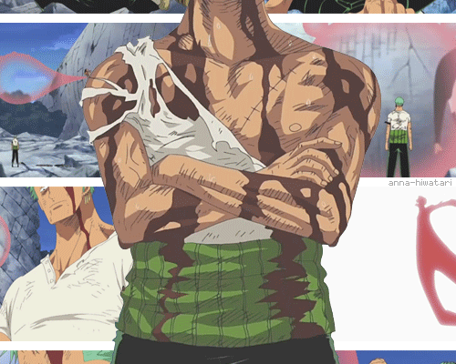 Roronoa Zoro... The Single Greatest First Mate Any Captain Could Have