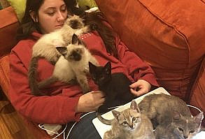 37 Hilarious Animal Snaps to Help Restore Your Faith in Humanity - Cheezburger