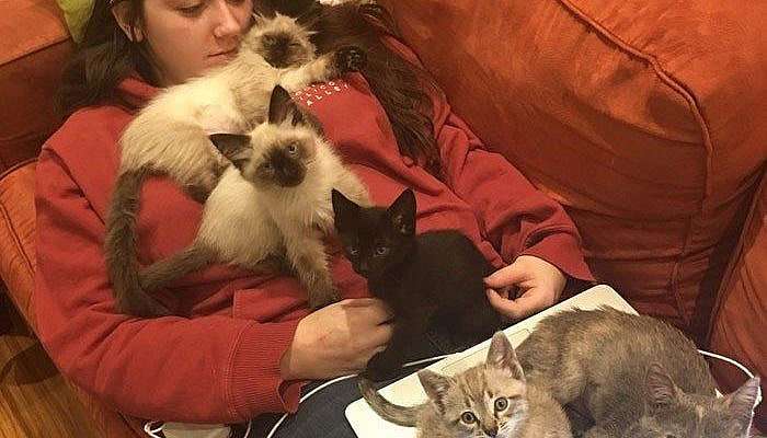 37 Hilarious Animal Snaps to Help Restore Your Faith in Humanity - Cheezburger