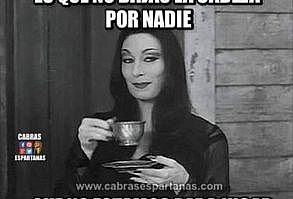 Imágenes, memes GIF y vídeos graciosas en la web de Cabras Espartanas. El mejor humor para compartir con amigos en Facebook, WhatsApp.