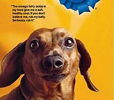 pedigree-dog-food-dachshund-small-44140