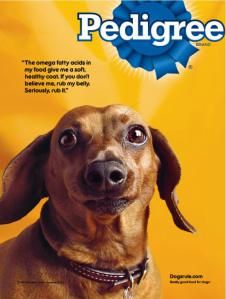 pedigree-dog-food-dachshund-small-44140