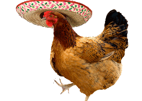 GIFS HERMOSOS: muchas cosas encontradas en la web